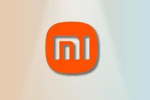 MI Account (Country + IMEI1 + IMEI2 + SN + FSN + Sales + Activation Region + Clear Or Lost) By [Keylock Or CodeLock Or Lock Code]  (No Refund) SLOW